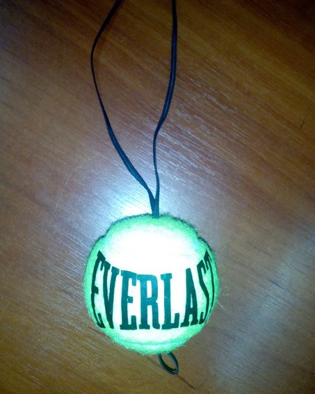 Файт бол Everlast. Fight Ball