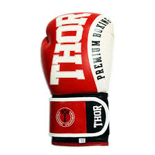 Перчатки THOR SHARK BOXING GLOVES LEATHER