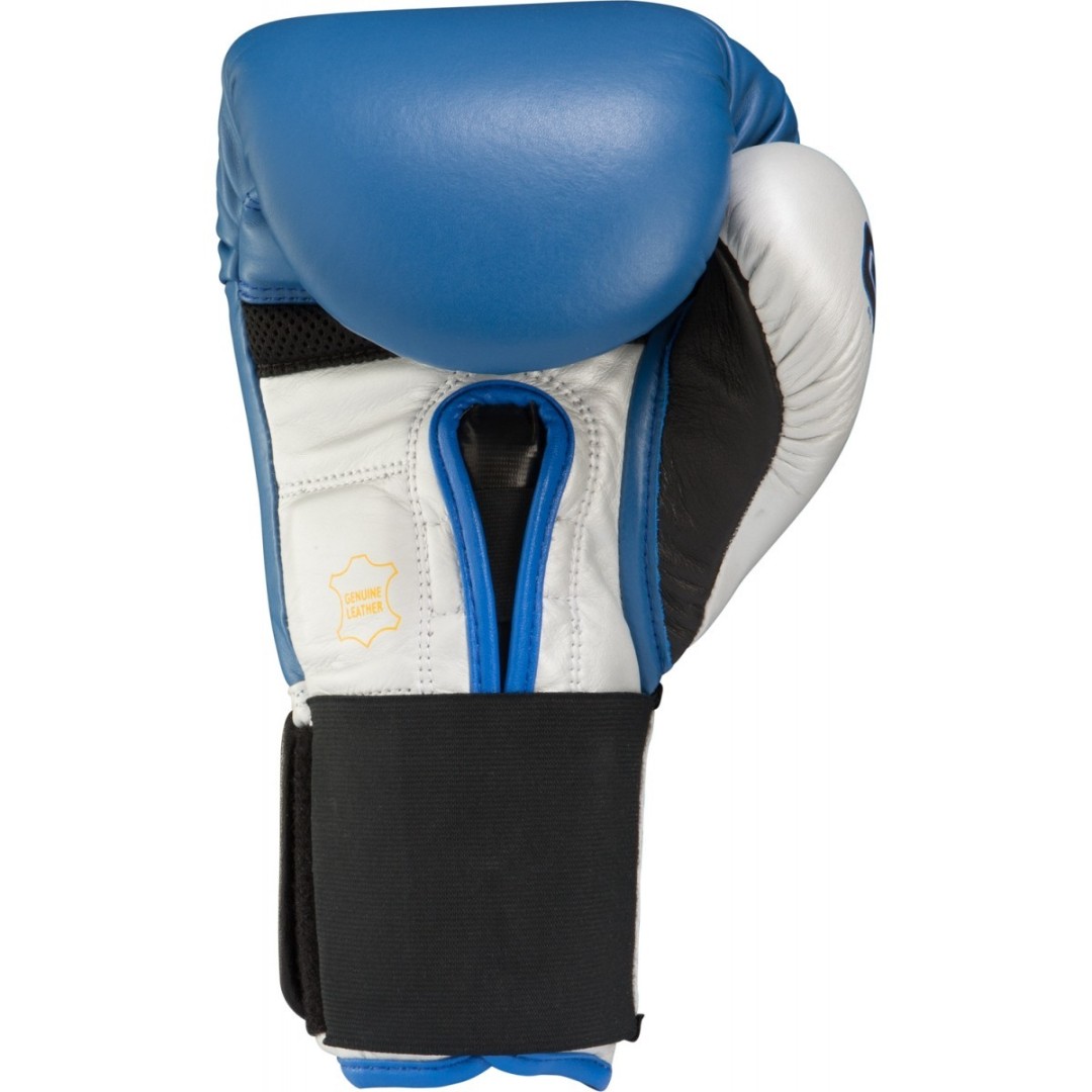 Боксерские перчатки 12ун TITLE GEL WORLD V2T TRAINING GLOVES