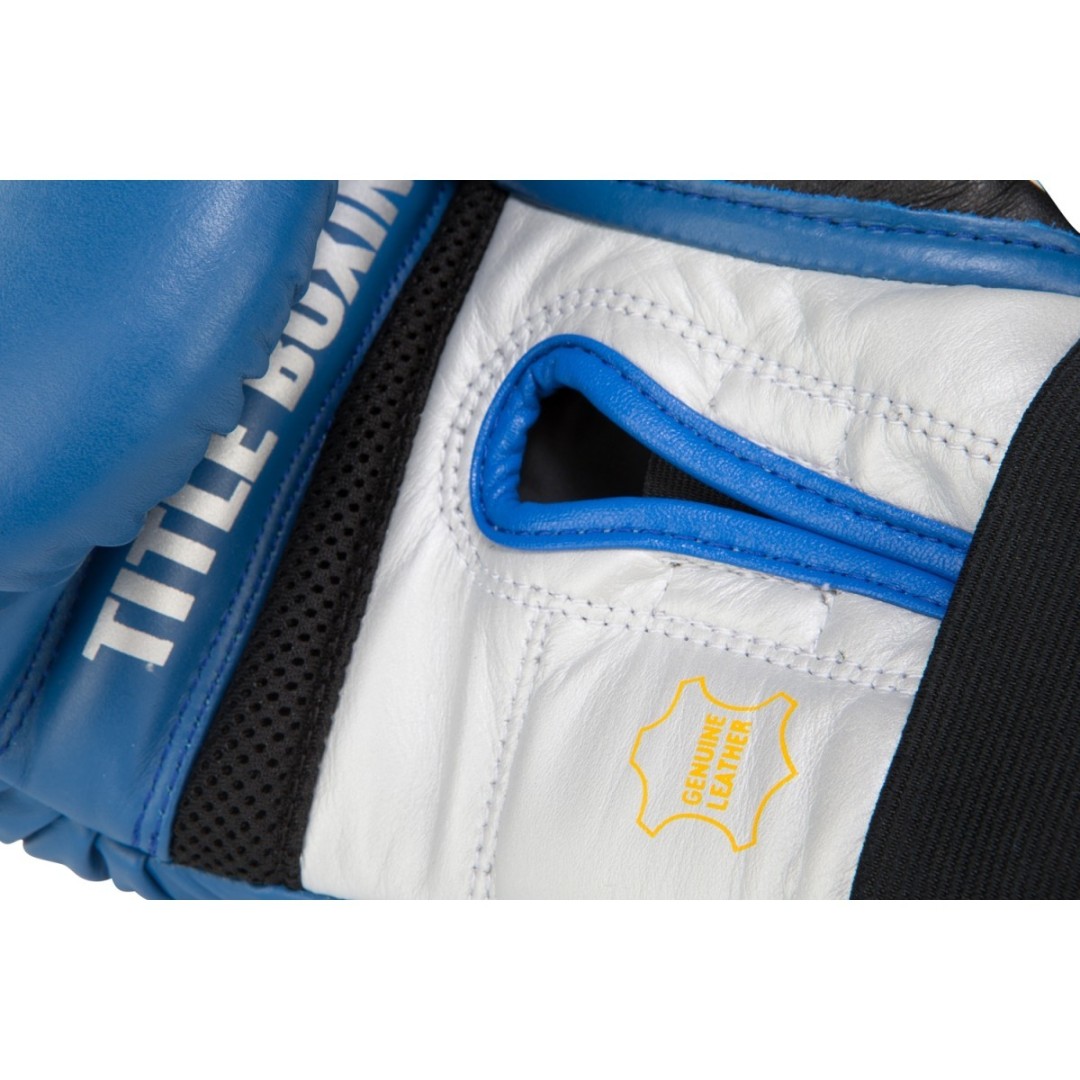 Боксерские перчатки 12ун TITLE GEL WORLD V2T TRAINING GLOVES